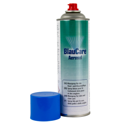 Blauspray, 500 ml Sprühdose - Desinfektionsspray BlauCare