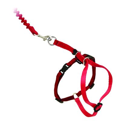 Easy Walk™ Katzengeschirr und Leine 33-46cm