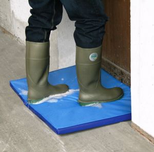 Desinfektionsmatte 90x60 cm zum Schutz vor Krankheiten
