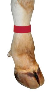 Fesselband Klettverschluß, 10 Stück rot