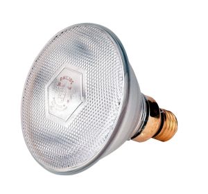 Infrarotsparbirne Philips 175 Watt, weiß - Infrarotbirne Weißlicht PAR 38