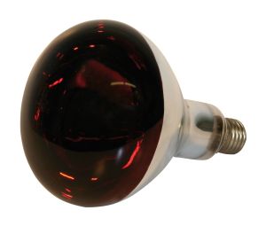 Infrarotbirne 250 Watt, Göbel Infrarotlampe 250 W Leistung E 27 Sockel