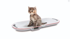 Kleintierwaage "Easy" 15kg Höchstlast - klappbare Kleintierwaage für mobile Einsätze