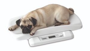 Kleintierwaage "Pet" mit abnehmbarer Schale - digitale Waage für kleine Tiere bis 20kg
