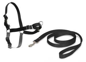 Easy Walk™- Geschirr 86 cm - 117 cm schwarz
