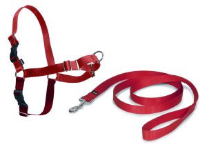Easy Walk™- Geschirr 30 cm - 40 cm rot