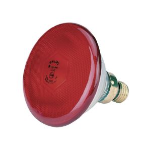Infrarotsparbirne Philips 100 W rot - Infrarot-Sparlampe von Philips Wärmelampe