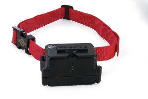 PetSafe Zusatzempfänger Halsband für sture Hunde - PIG19-10763