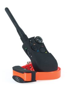 Sporttrainer 1600m Ferntrainer