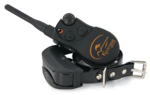 Sporttrainer 1600m Ferntrainer