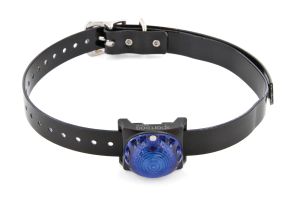 Sportdog Ortungsleuchte blau SDLB-BL-E