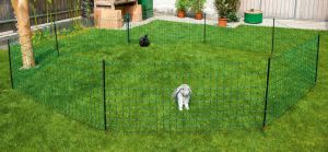 Kaninchennetz - Kleintierzaun - 65/1 12m grün mit Einzelspitze von Kerbl