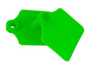 Ohrmarke Primaflex Größe 1, blanko, grün - 25 Stück / Pack