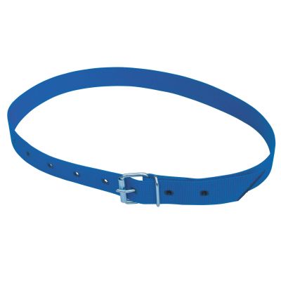 Halsmarkierungsband 120 cm, mit Rollschnalle blau