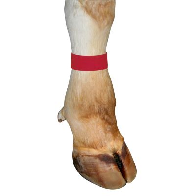 Fesselband Klettverschluß, 10 Stück rot