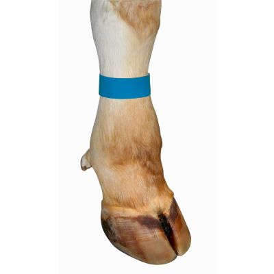 Fesselband Klettverschluß, 10 Stück blau - Markierungsbänder 