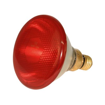 Infrarot Energiesparlampe 175 Watt - Infrarot - Sparlampe Kerbl