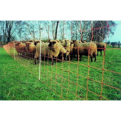Schafnetz / Geflügelnetz EURO-NETZ Extra Hoch Doppelspitze 120 cm Länge: 50 m - Euro-Netz Extrahoch 120/2 