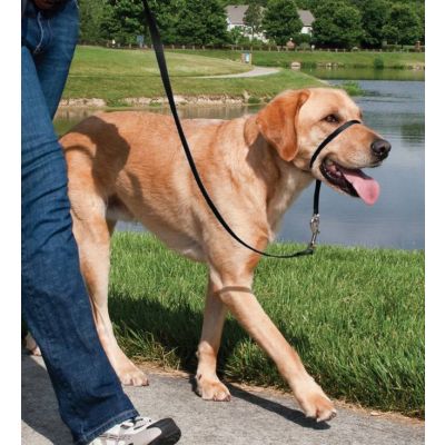 Easy Walk™-Kopfleine 27 kg - 59 kg