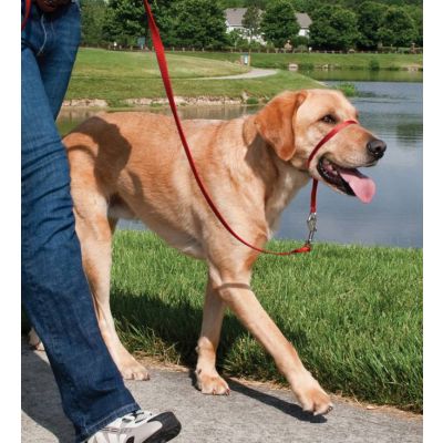 Easy Walk™-Kopfleine 27 kg - 59 kg
