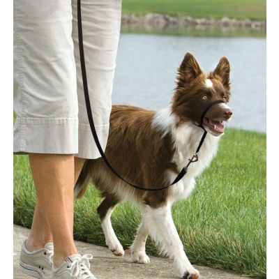 Easy Walk™-Kopfleine 11 kg - 27 kg