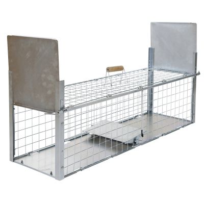 Kastenfalle Alive Predator 105 x 26 x 26 cm