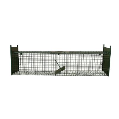 Lebendfalle mit 2 Türen - Kastenfalle 103cm lang