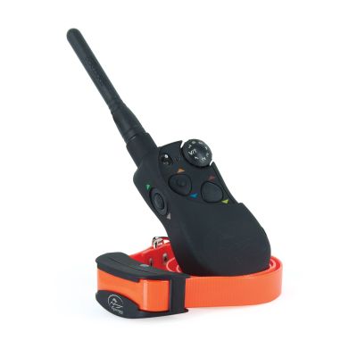 Sporttrainer 1600m Ferntrainer