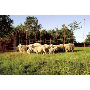 Euronetz plus 50 Meter lang, 106 cm Höhe mit Einzelspitze