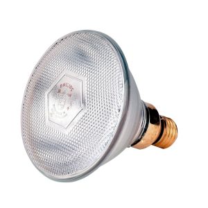 Infrarotsparbirne Philips 175 Watt, weiß - Infrarotbirne Weißlicht PAR 38