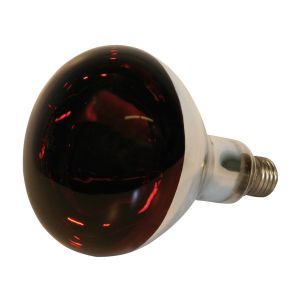 Infrarotbirne 250 Watt, Eider