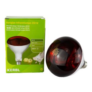 Infrarotbirne 250 Watt - Hartglas-Infrarotbirne Kerbl