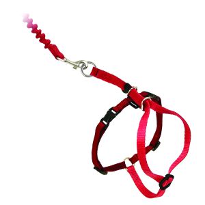 Easy Walk™ Katzengeschirr und Leine 23-28cm, rot