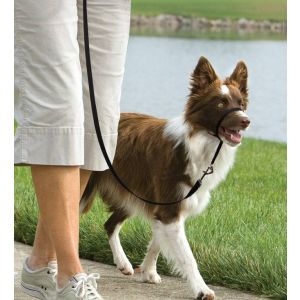 Easy Walk™-Kopfleine 11 kg - 27 kg