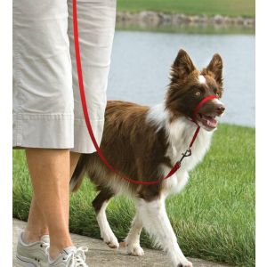 Easy Walk™-Kopfleine 11 kg - 27 kg