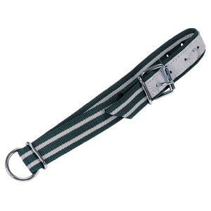 Halsband grün/weiß 130 x 4 cm, Rollschnalle, Ovalglied u. D-Ring