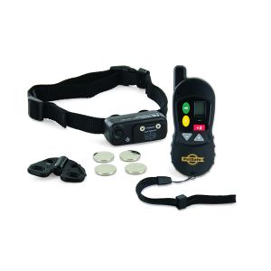 Ferntrainer 100m kleiner Hund