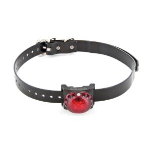 Sportdog Ortungsleuchte rot - SDLB-RD-E