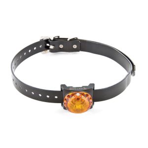 Sportdog Ortungsleuchte orange - SDLB-YL-E
