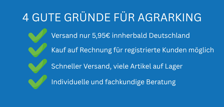 4 gute gruende